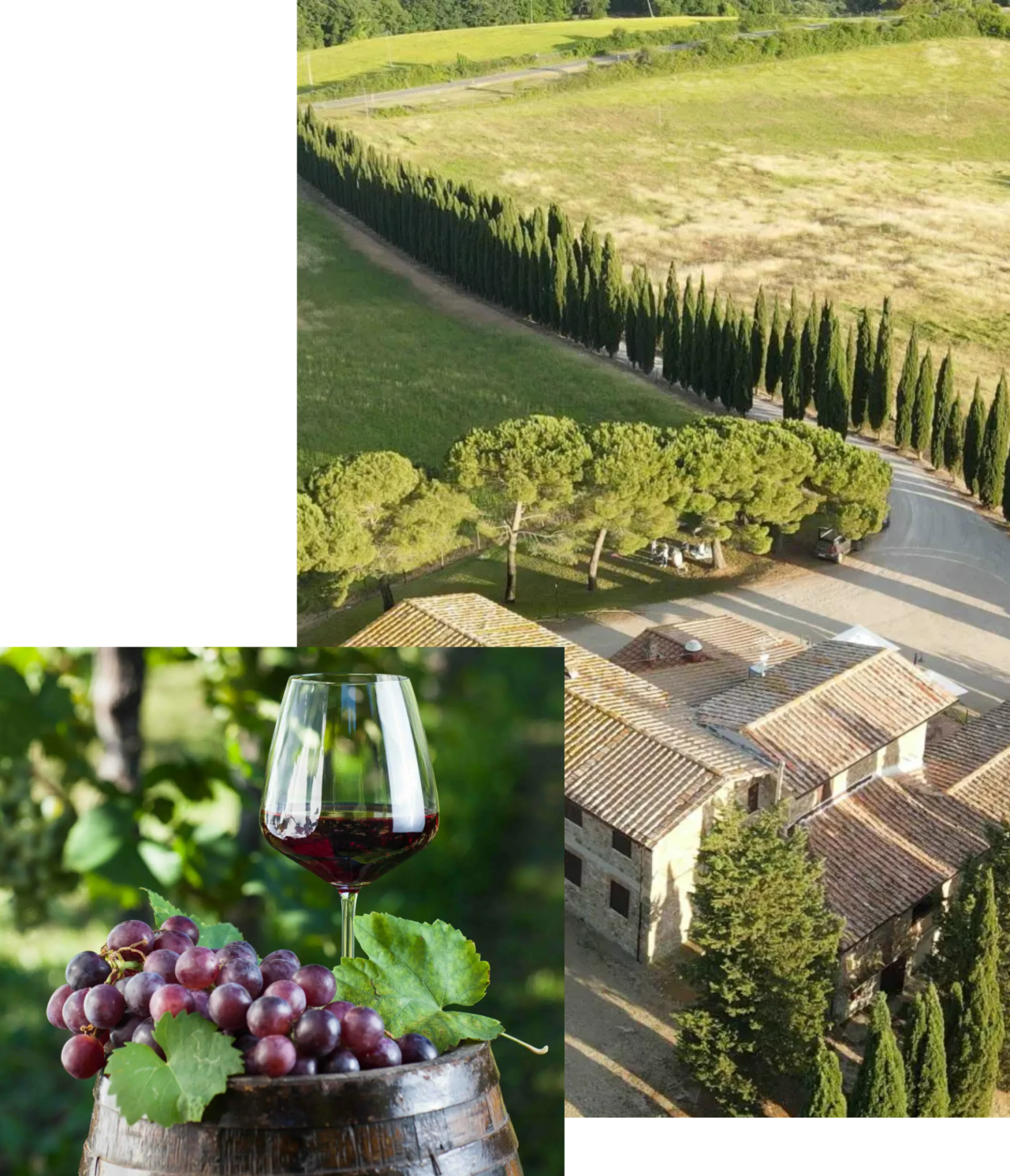 Fattoria LaTorre | Weingut in der Nähe von San Gimignano, Italien